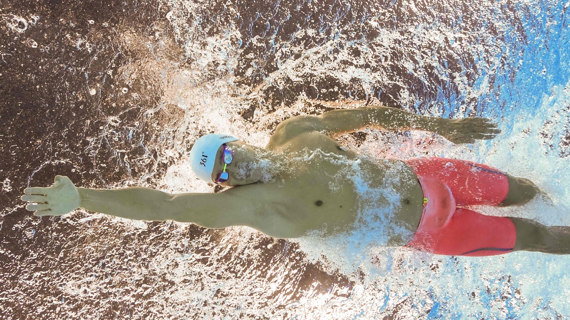 巴西马术协会与国际马术联合会合作，举办国际马术交流活动，促进技术交流。